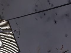 -新世界百货(明洞总店)