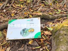 -关西瀑布
