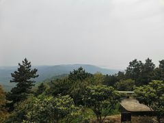 -雨花胜境
