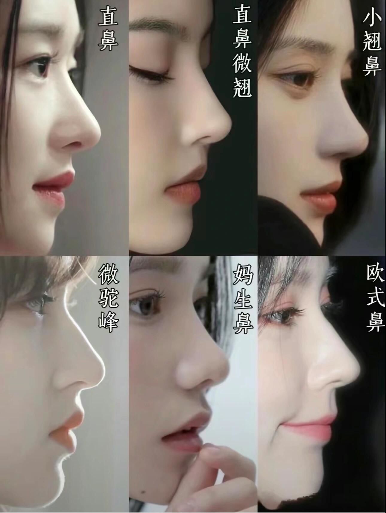 六中do鼻模板你们喜欢哪种