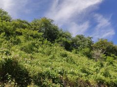 -黑龙潭风景区