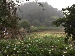 -韶山毛泽东同志故居