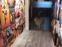-肆兮眼镜·蔡司·徕卡战略合作店(大坪店)