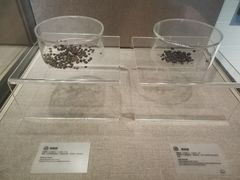 -南越王博物院(王宫展区)