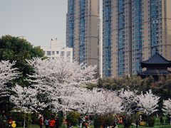 -堤角公园