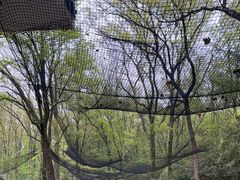 -WeLope紫金山探险公园
