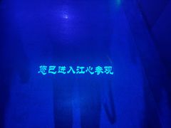 -白鹤梁水下博物馆