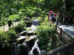 -藏龙百瀑风景区