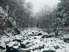 -陕西省红河谷森林公园