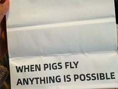 -WHEN PIGS FLY当猪飞