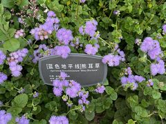 -国家植物园