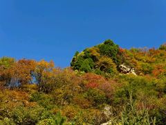 -少华山国家森林公园