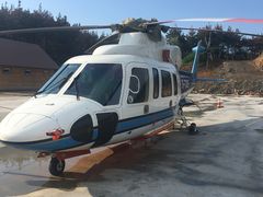 -北纬44度·金珠花海休闲农业旅游景区