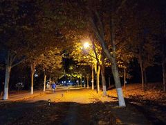 -中国人民大学游泳馆