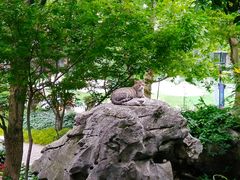 -静安公园(静安寺街道)