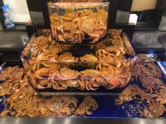 -蟹道乐(道顿堀本店)