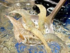 -亚马逊海鲜自助(梅溪湖步步高店)