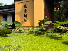 -惠山古镇·寄畅园