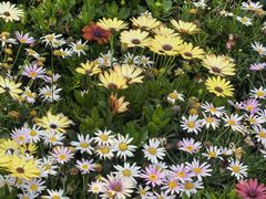 -喜湘宴·精致湖南菜(和平西桥店)