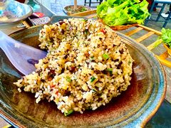 -蘑统田下·野生菌火锅