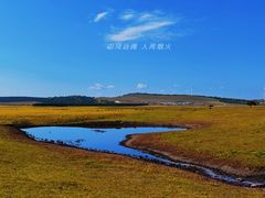 -塞罕坝国家级自然保护区