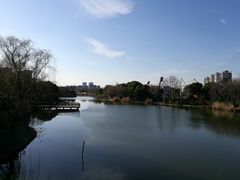 -新江湾城公园