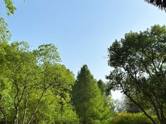 -七桥瓮公园