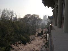 -武汉大学老图书馆