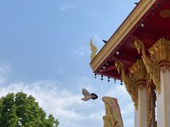 -洛阳白马寺