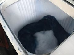 -璞真扎染博物馆