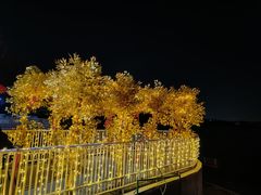 -青龙湖公园