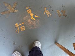 -猫里有甜