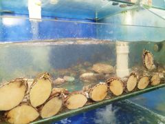 水产区-雅逸居海鲜小厨