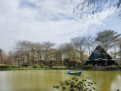 -森波拉奇妙世界