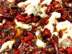 -宏宴·新京菜(望京店)