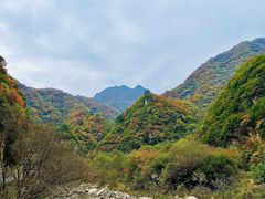 -秦岭风景区