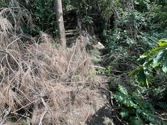 -草庵摩尼教遗址公园