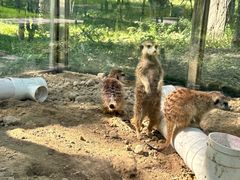 -水上乐园·欢乐世界