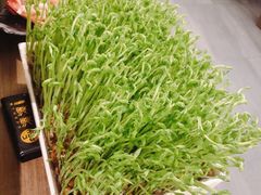 -湊湊火锅·茶憩(打浦桥日月光店)