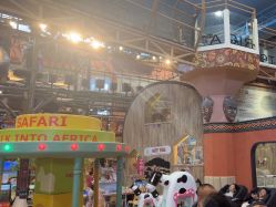 点击看大图 -卡通尼·Safari非洲探索乐园·生日会(金桥国际商业广场店)