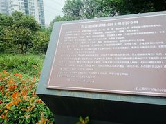 -重庆彩云湖湿地公园