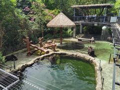 -深圳野生动物园
