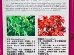 -杭州植物园