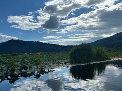 -腾冲北海湿地