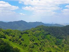 -西湖风景区十里琅珰-五云山