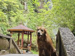 -西岭雪山大飞水景区