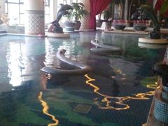 -月亮河温泉度假酒店