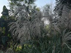 -金海湾滨江公园