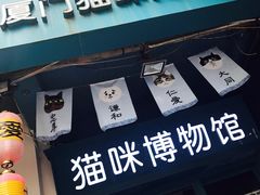 -猫咪博物馆(顶澳仔猫街店)