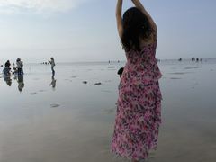 -北海金海湾红树林生态旅游区